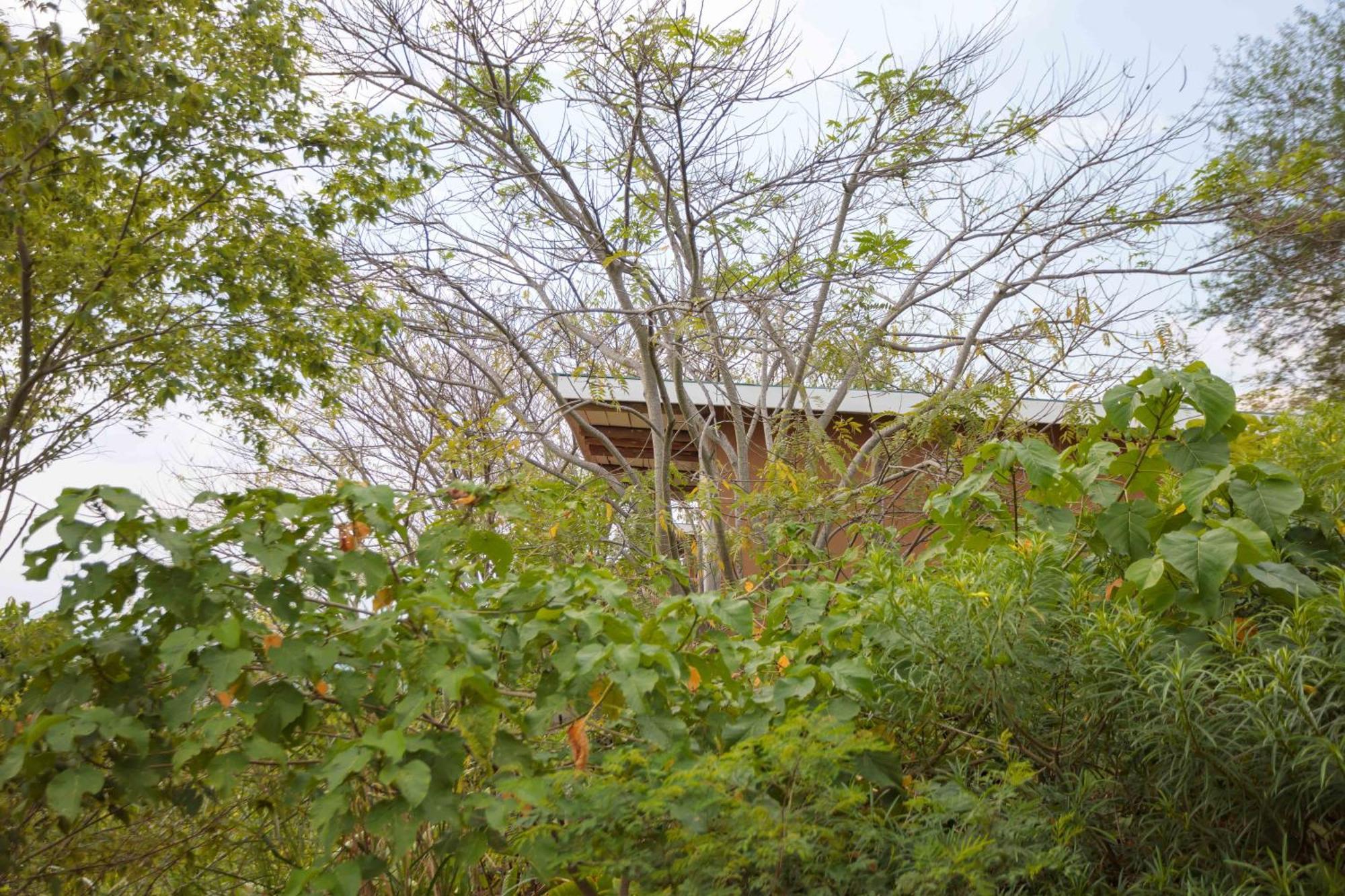 Lake Mwamba Lodge Kasenda Zewnętrze zdjęcie